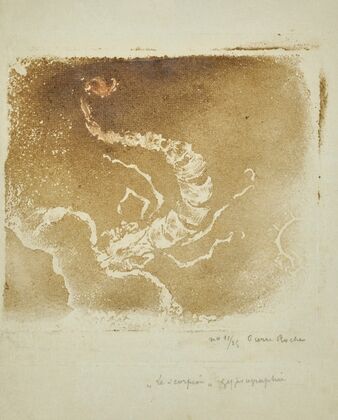 Scorpion (1897)