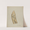 Scrimshaw by Paul Ward
