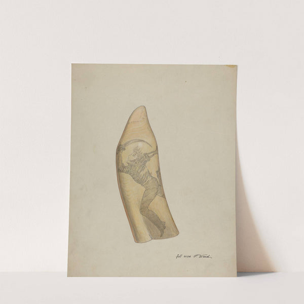 Scrimshaw by Paul Ward