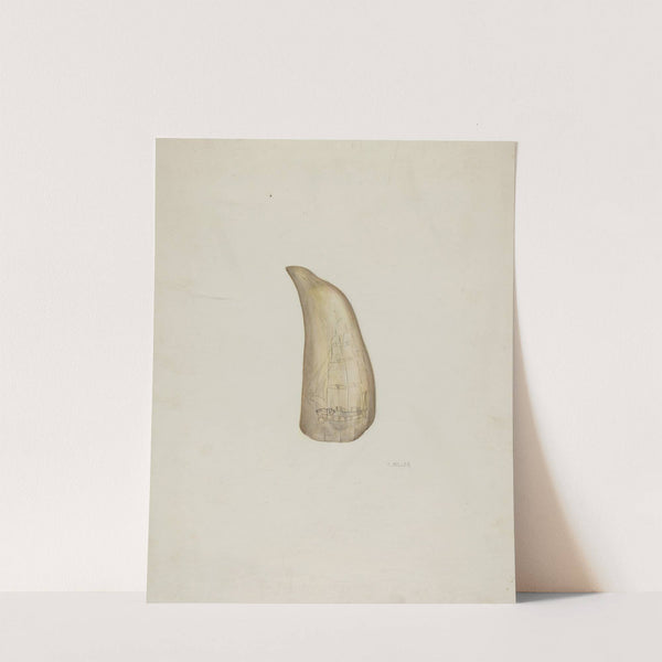 Scrimshaw by Edith Miller