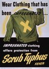 Scrub typhus fever