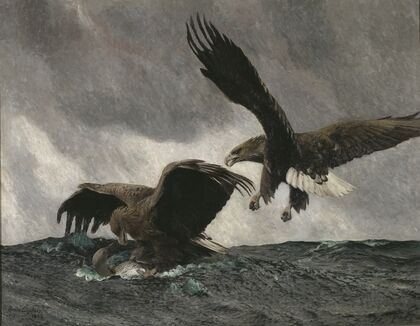 Sea Eagles