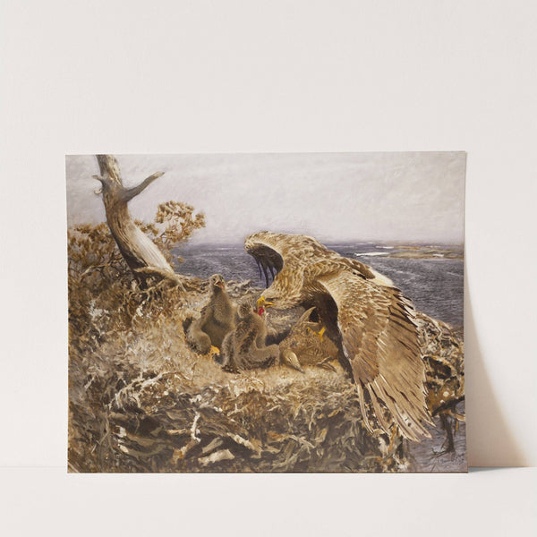 Sea Eagle’s Nest (1907) by Bruno Liljefors