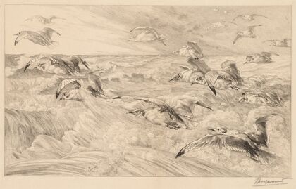 Seagulls (Les Mouettes)