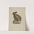 Seated Chalkware Rabbit by Andrew Topolosky