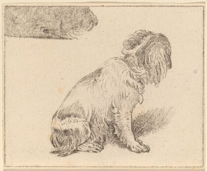 Seated Dog