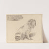 Seated Dog by Cornelis Ploos van Amstel