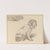 Seated Dog by Cornelis Ploos van Amstel