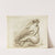 Seated Female Nudes by Carl Newman