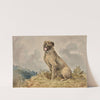 Seated Irish Wolfhound (1880) by Alexander Pope Jr.