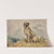 Seated Irish Wolfhound (1880) by Alexander Pope Jr.