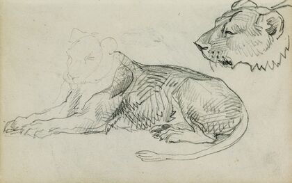 Seated lion, head of lioness