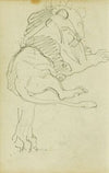 Seated lion