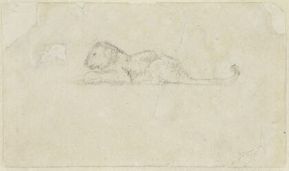 Seated Lioness