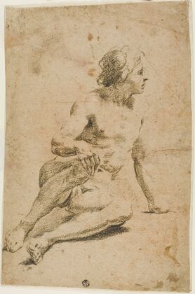 Seated Male Nude