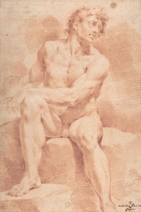 Seated Male Nude