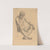 Seated Male Nude – Study for ‘Science’ – Iowa State Capitol (1905) by Kenyon Cox