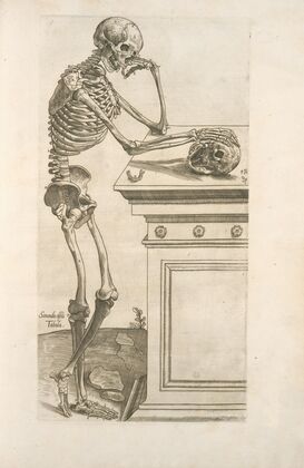 Secunda ossium tabula [Human skeleton inspecting a skull and in deep thinking]