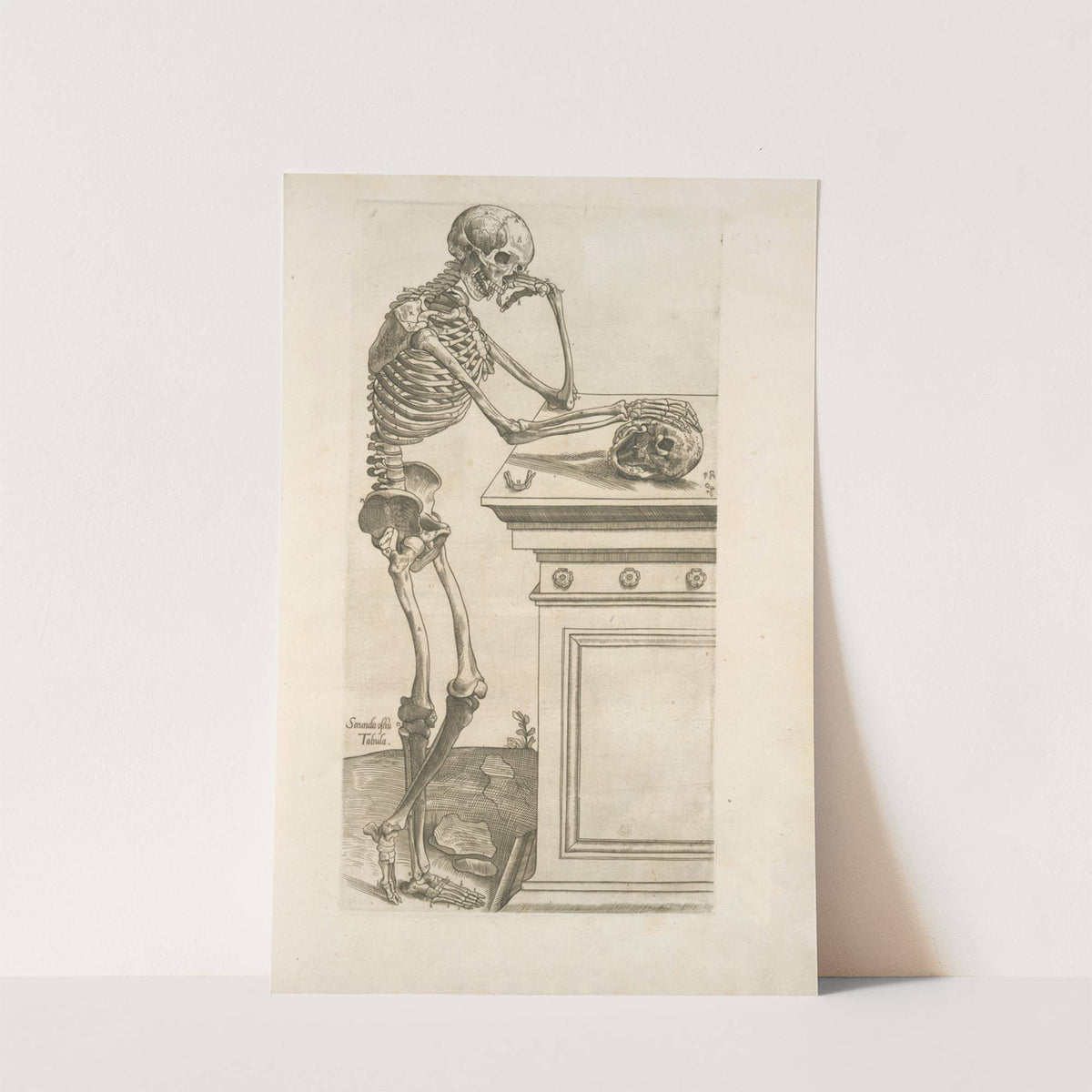 Secunda ossium tabula [Human skeleton inspecting a skull and in deep thinking] (1545) by Thomas Geminus