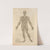 Secv. fig; Integra et ab omnibus partibus &#8230; [Male figure showing the arteries and veins] (1545) by Thomas Geminus