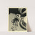 Sédobrol (1910-1950) by Produits F. Hoffmann-La Roche &amp; Cie