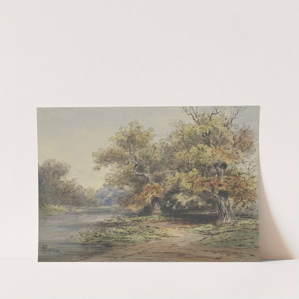 Seeufer mit hohen Bäumen by Hermann Baisch