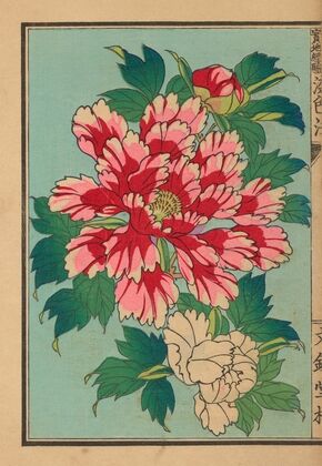 Senshokuhō: Shinhatsumei jitchi keiken Pl.01