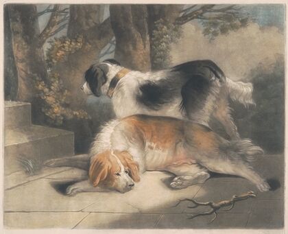Setters (1799)