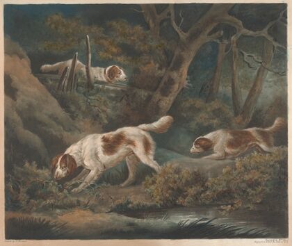 Setters (1806)