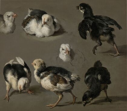 Seven Chicks — size preview