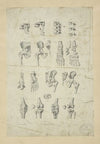 Several views of bones of pelvis, knee, and foot