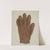 Shaker Glove by Helen E. Gilman