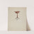 Shaker Peg Leg Stand by Irving I. Smith