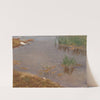 Shallow Water (1906) by Bruno Liljefors