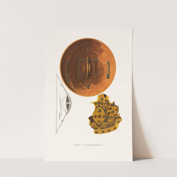 Shchit trostnikovyi. (izobrazhenie 2.) (1849 - 1853) by Fedor Grigoryevich Solntsev