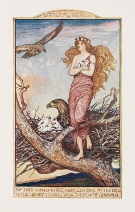 She lived happily in her nest standing at the edge in the sunset looking upon the beautiful world