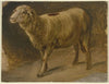 St. John the Baptist (ca. 1518–19)