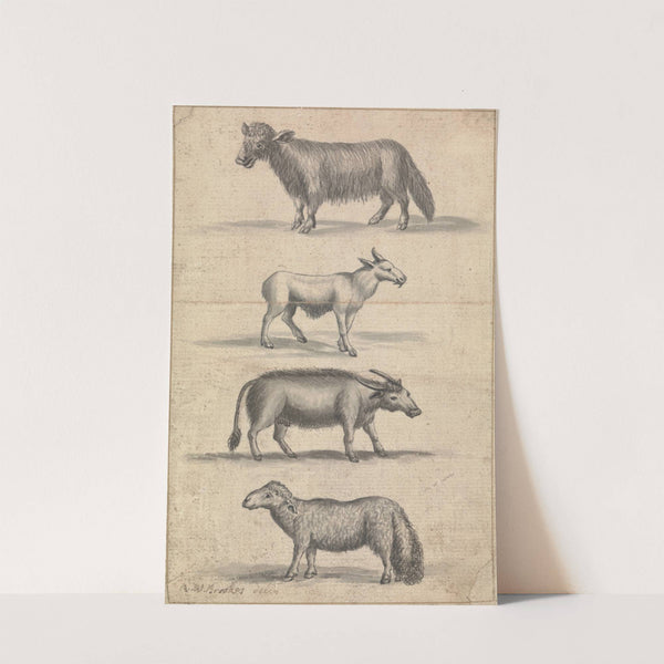 Sheep, and Three Animals by Richard Brookes