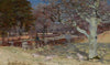 Sheep by a sun dappled road