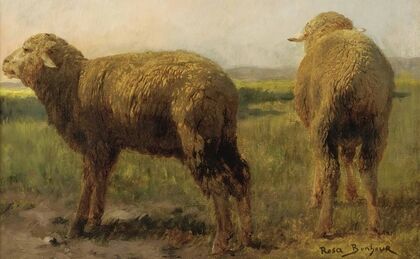 Sheep In A Meadow