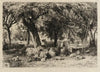 Sheep in an Orchard
