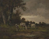 Sheep in the meadow at the forest edge