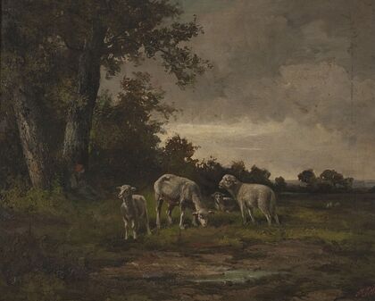 Sheep in the meadow at the forest edge