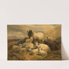 Sheep in the Scottish Highlands (1883) by William Watson