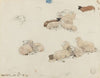 Sheep Resting