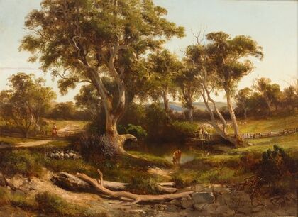Sheep wash in the western district