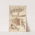 Sheet of Studies; A Horse Above, a Seated Man and a Reclining Man Below by Domenico Gargiulo