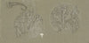 Sheet of studies for Huntington Ceiling