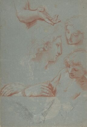 Sheet of Studies; Heads, Hands, and Doves