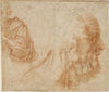Sheet of studies with a youth and the head of an old man looking to the right